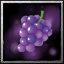 Grape